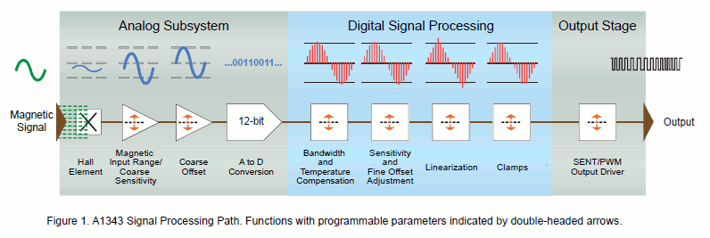 Signal Processing Path